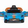 IGOR0123_HotWheelsRC_opened_doors@WEB